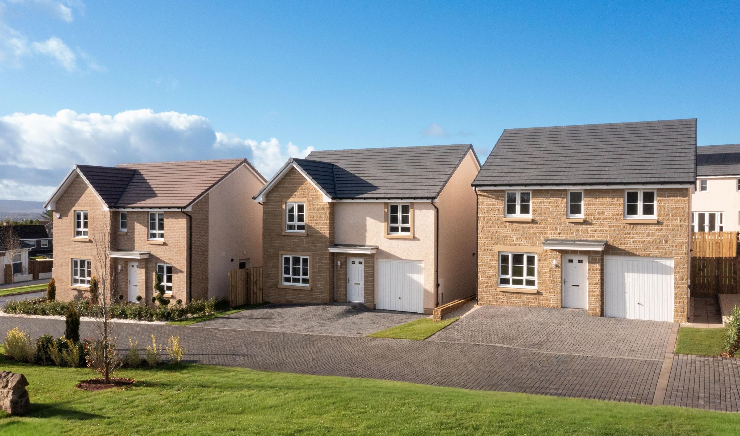 Carrick Meadows development 1 of 7