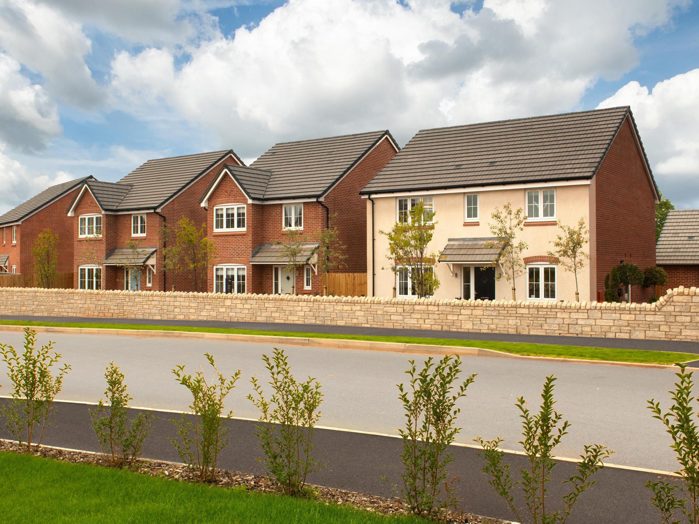 Forest Walk development 1 of 1