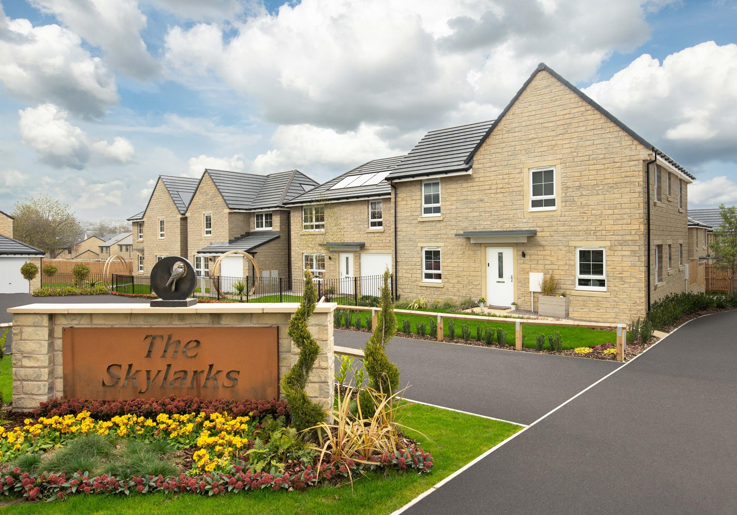 The Skylarks development 1 of 6