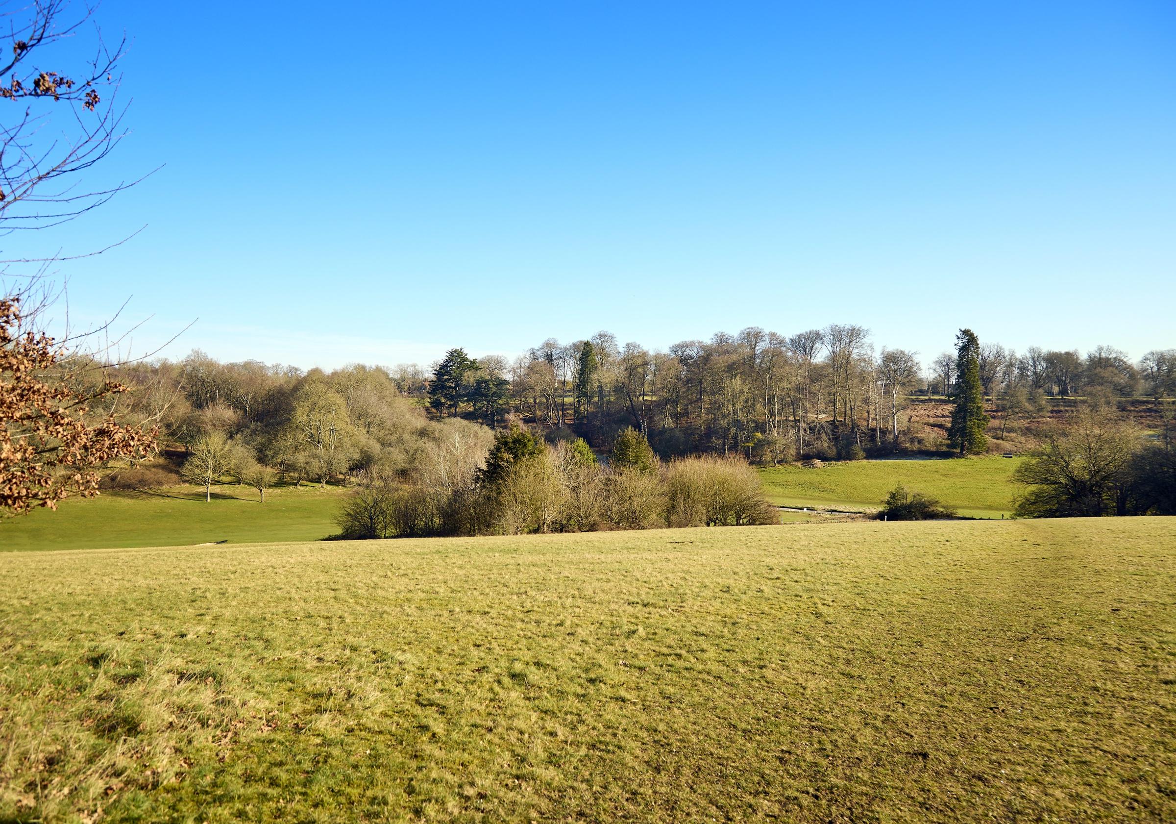 Chaulden Meadows development 3 of 5
