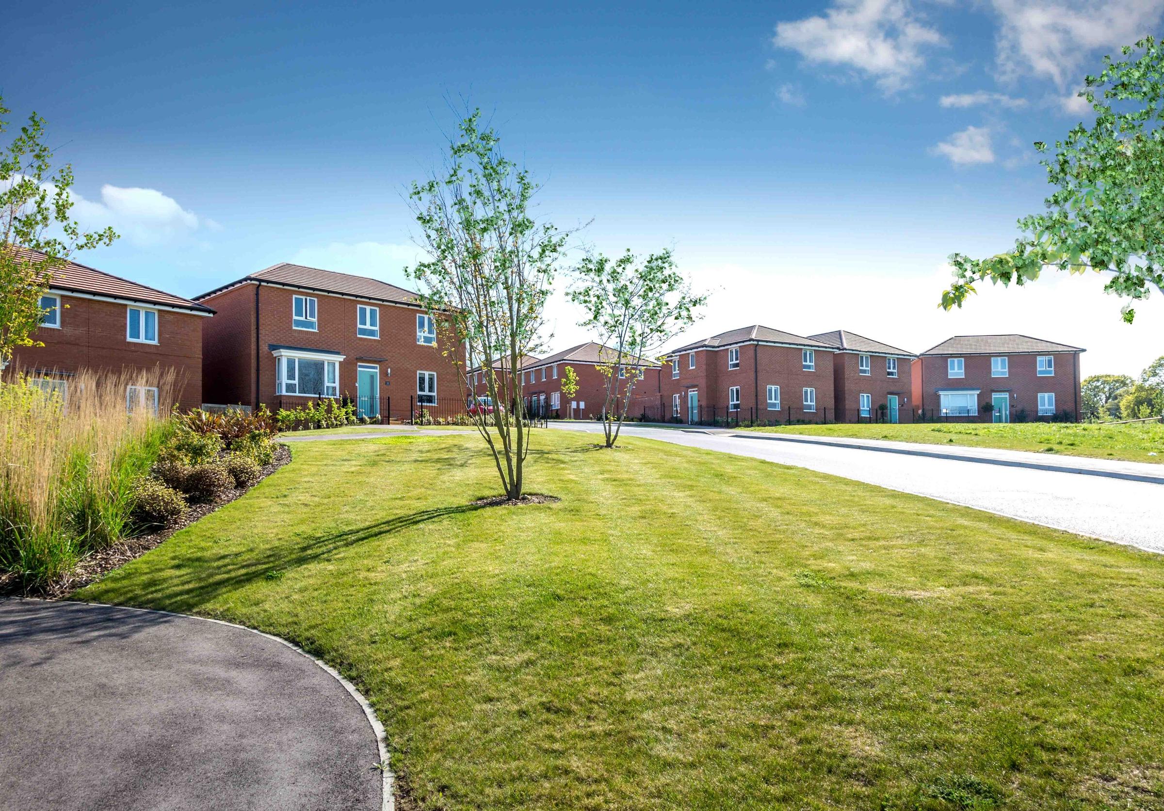 Saxon Fields development 1 of 10