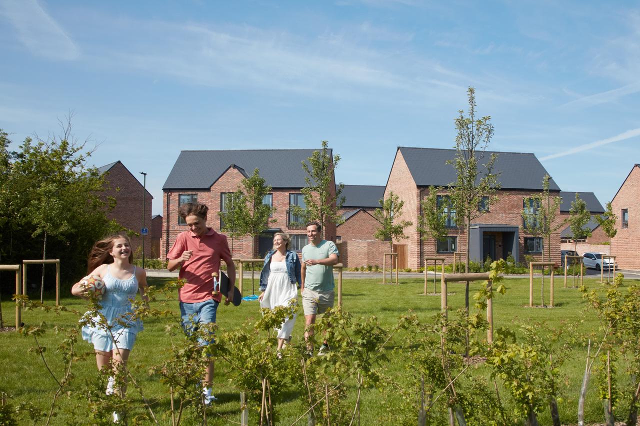 Walstead Park development 1 of 1