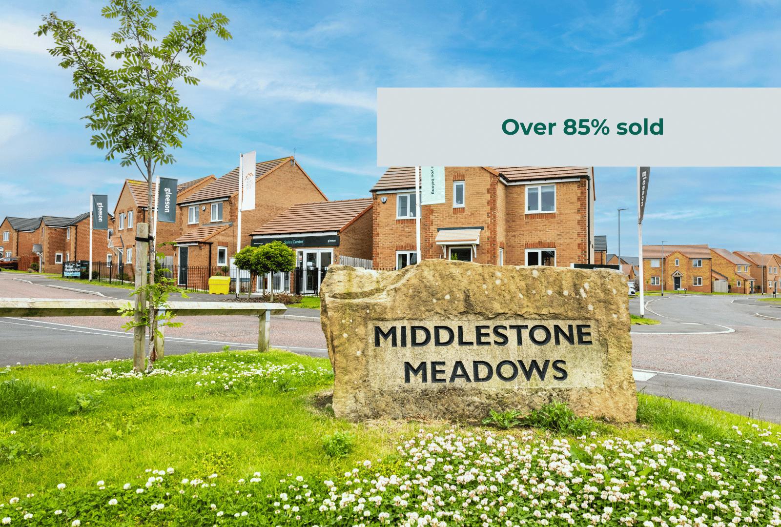Middlestone Meadows development 1 of 1