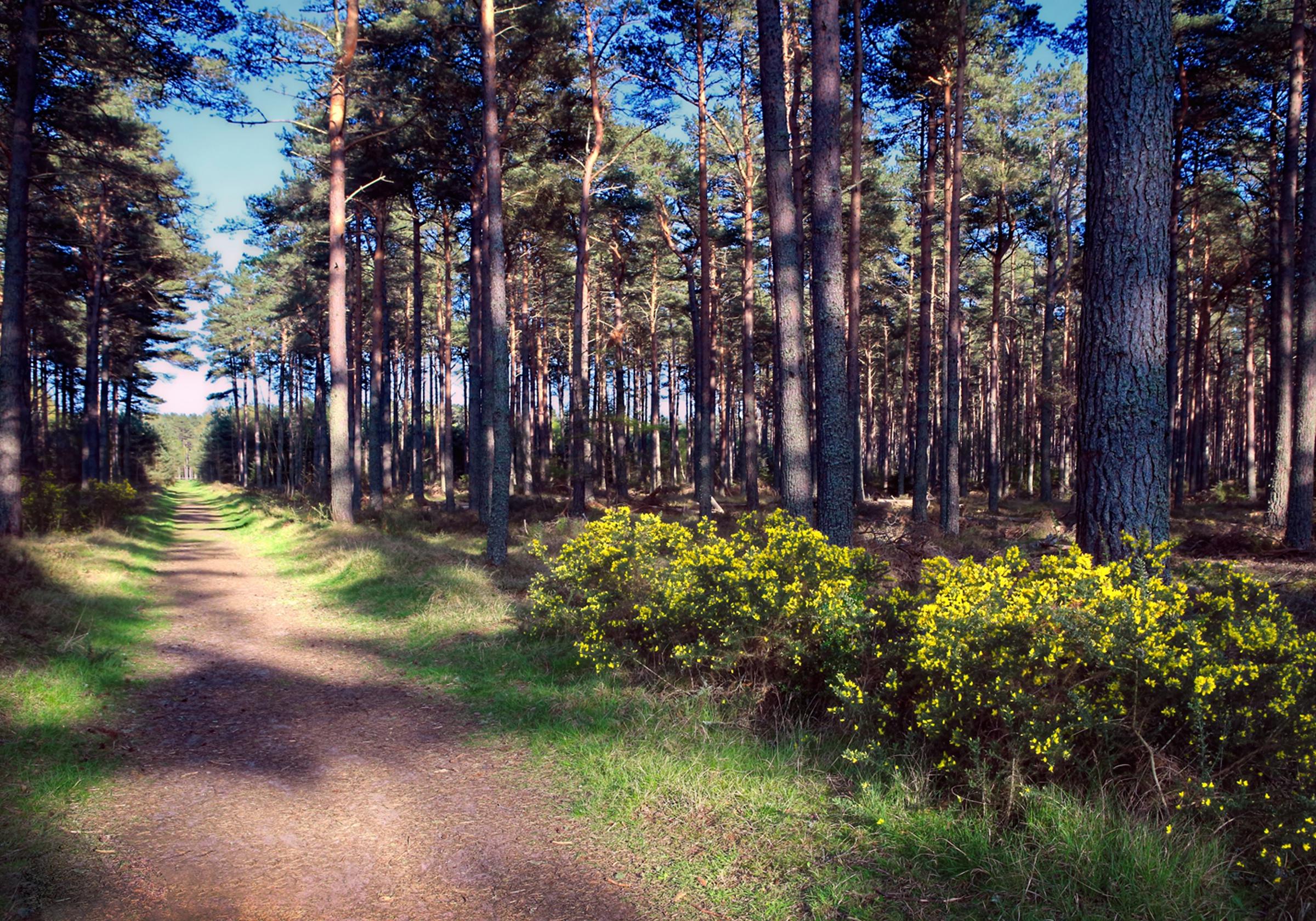 Findrassie development 3 of 10