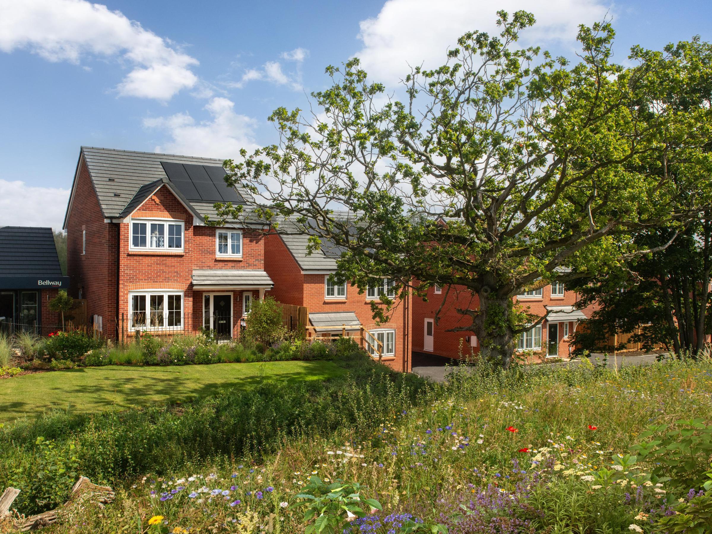 Ashlands development 1 of 1