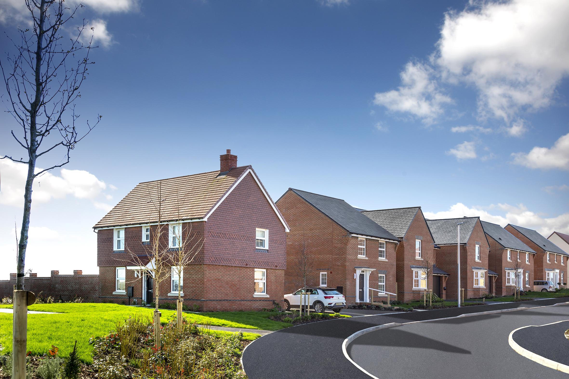 Cuckoo Fields development 3 of 5