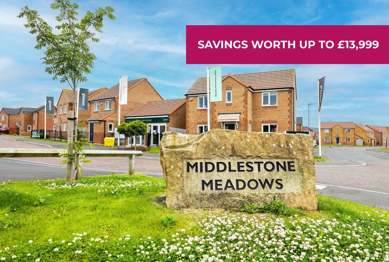 Middlestone Meadows development 1 of 1