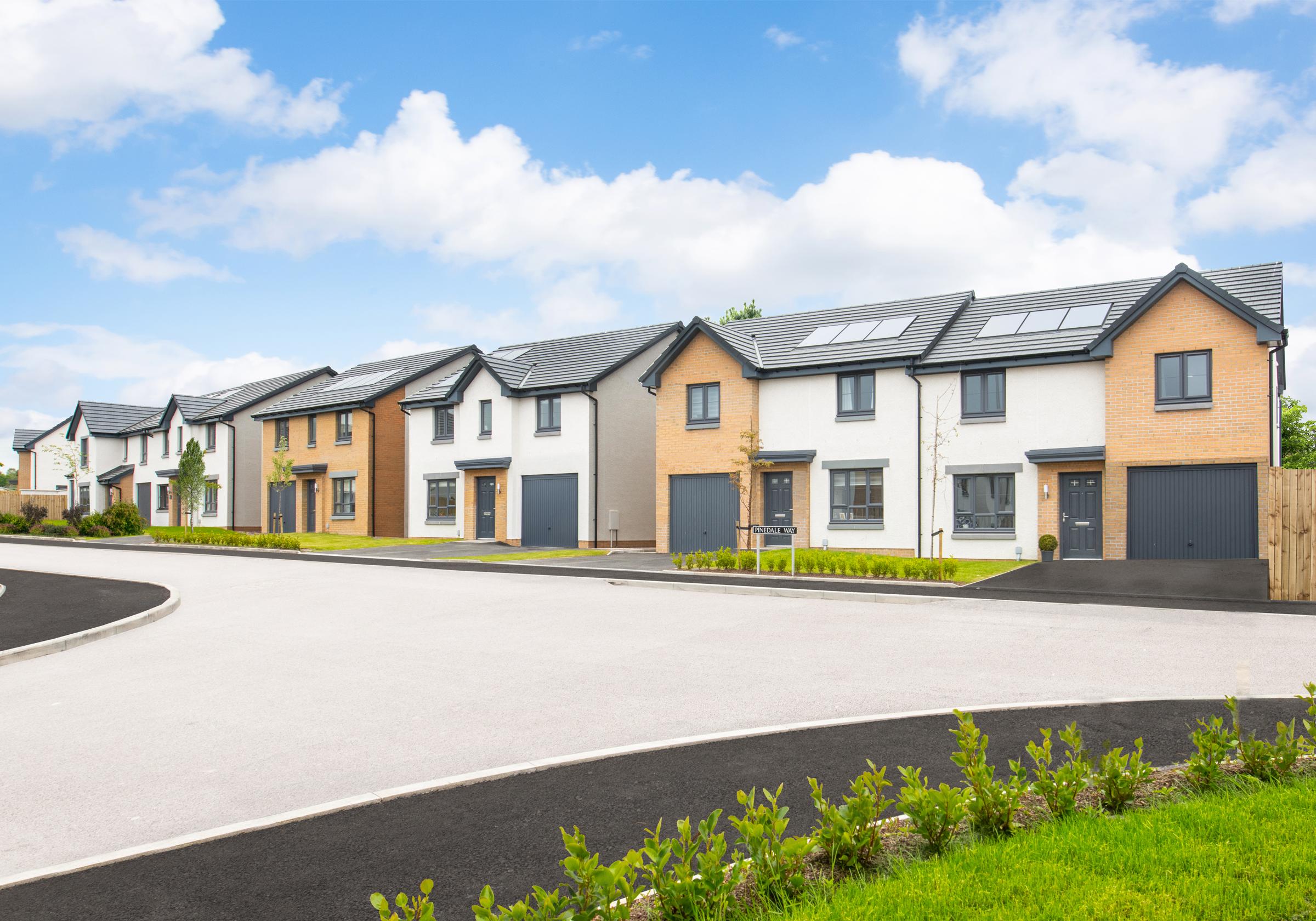 King's Gallop development 1 of 10