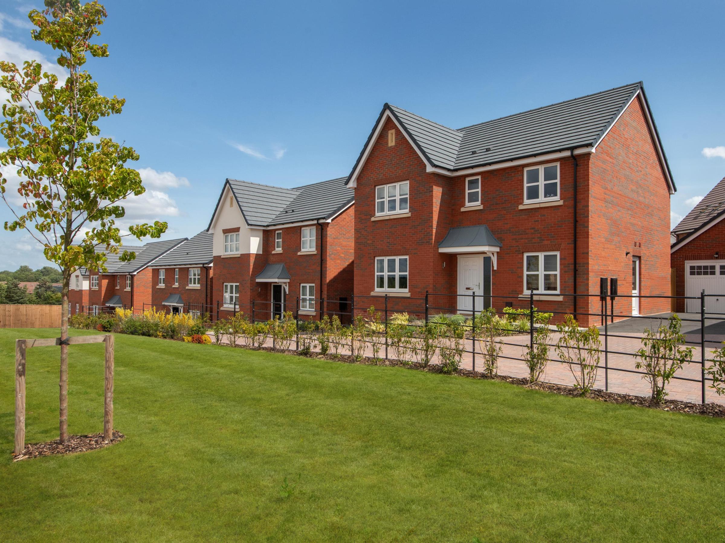 Darwin's Edge development 1 of 1