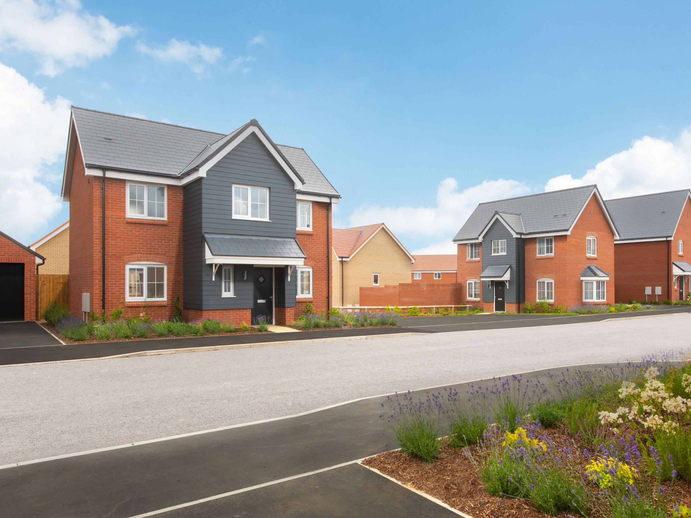 Ridley's Orchard development 1 of 1