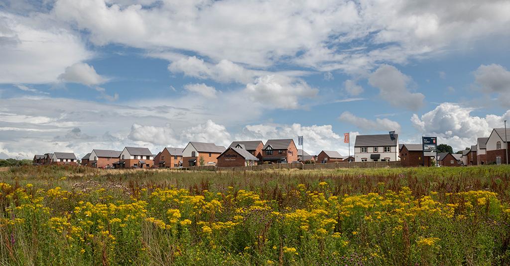 Rose Meadow development 1 of 1