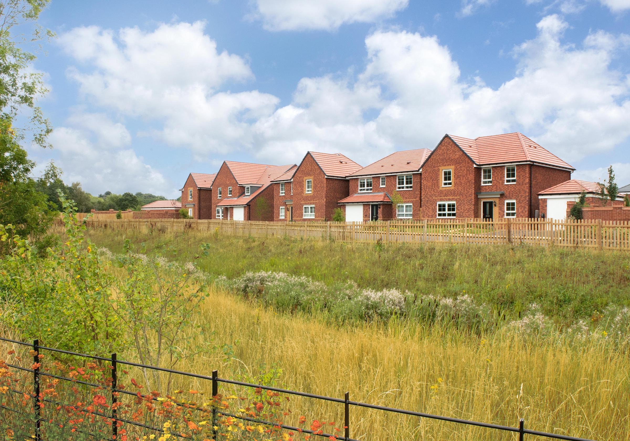 Silkin Meadows development 1 of 6