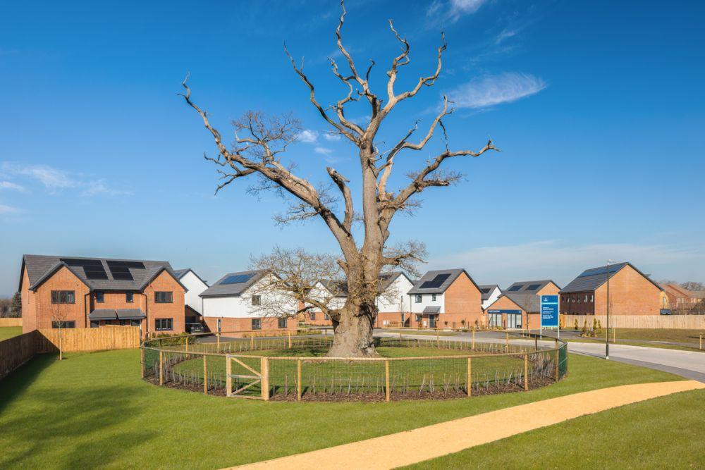 Hunts Grove development 2 of 4