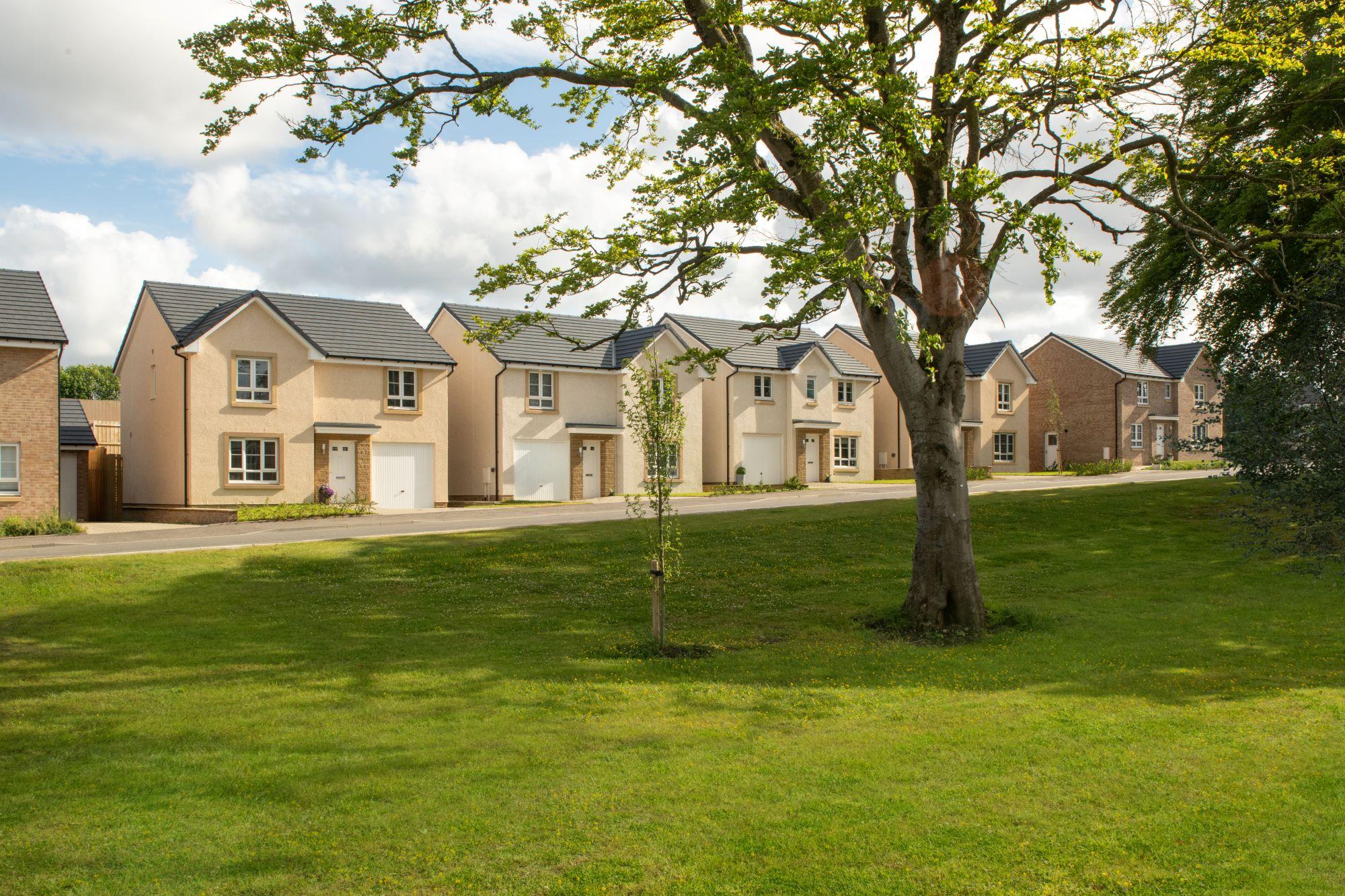 Eaglesham View development 1 of 10
