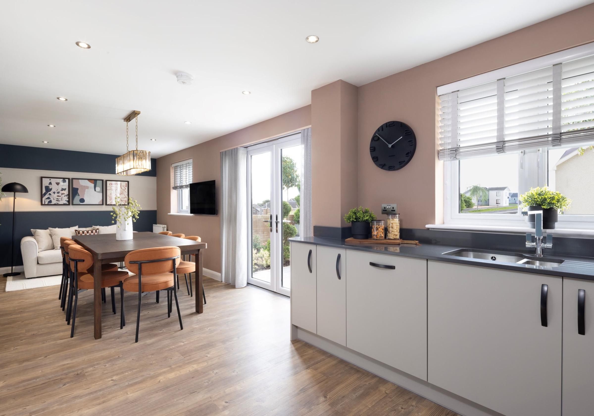 Carrick Meadows development 3 of 6
